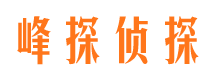 高淳外遇取证